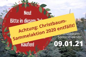Entfällt: Christbaum-Sammelaktion 2020